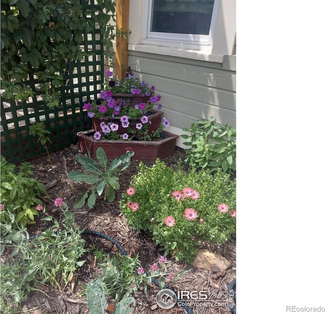 3730 Garfield Ave, Wellington, CO 80549 - exterior view