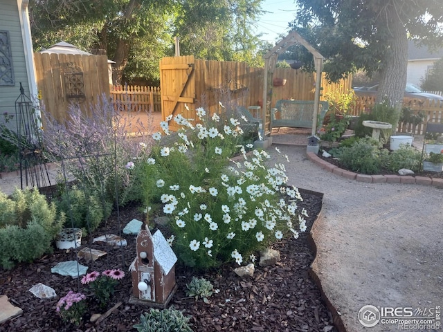 3730 Garfield Ave, Wellington, CO 80549 - view of yard
