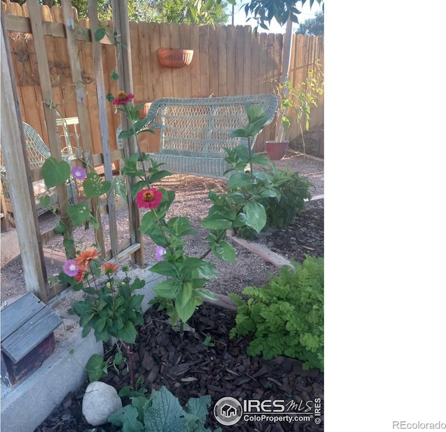 3730 Garfield Ave, Wellington, CO 80549 - view of yard