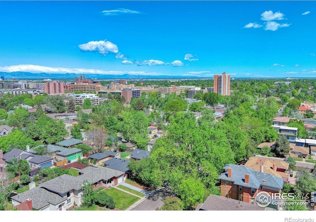 729 Elm St, Denver, CO 80220 - photo 34