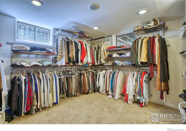 729 Elm St, Denver, CO 80220 - photo 22
