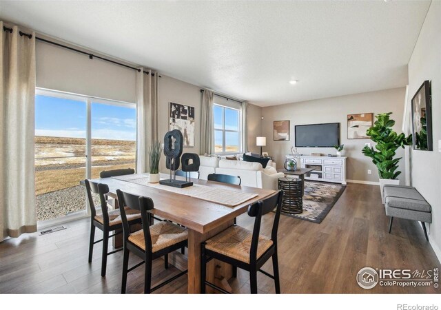 18813 E 99th Ave, Commerce City, CO 80022 - photo 15