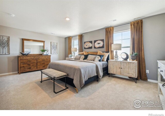 18813 E 99th Ave, Commerce City, CO 80022 - photo 23