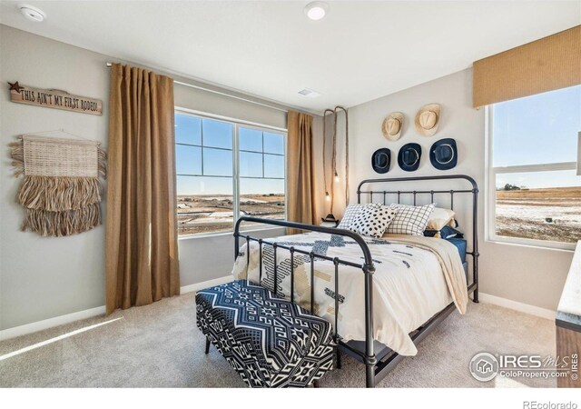 18813 E 99th Ave, Commerce City, CO 80022 - photo 27