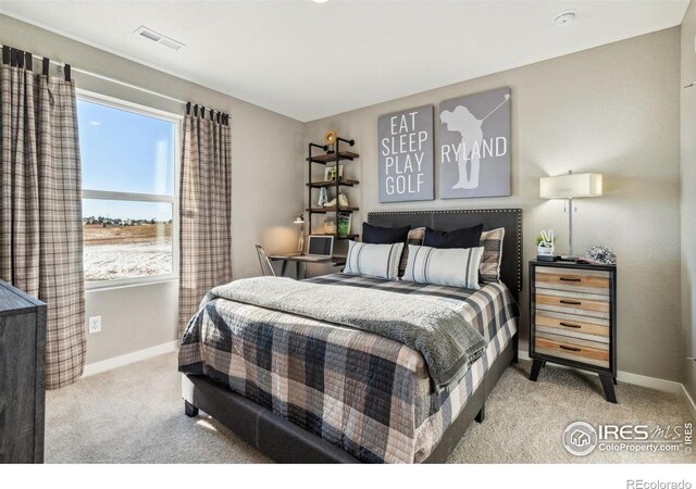 18813 E 99th Ave, Commerce City, CO 80022 - photo 29