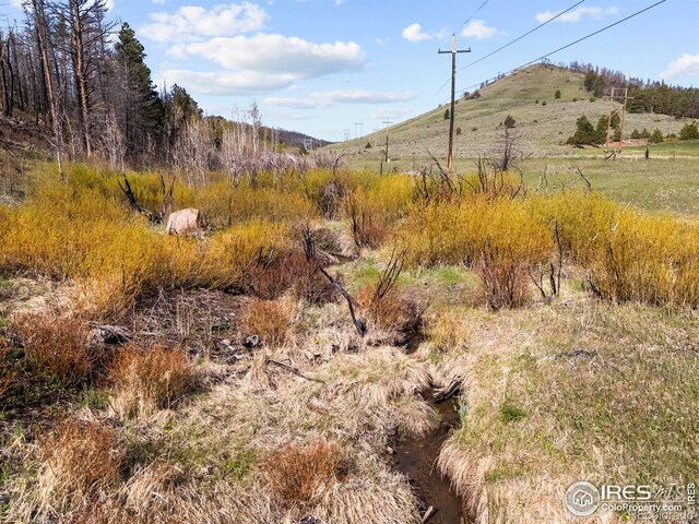 6651 W County Road 68c, Red Feather Lakes, CO 80545 - photo 1