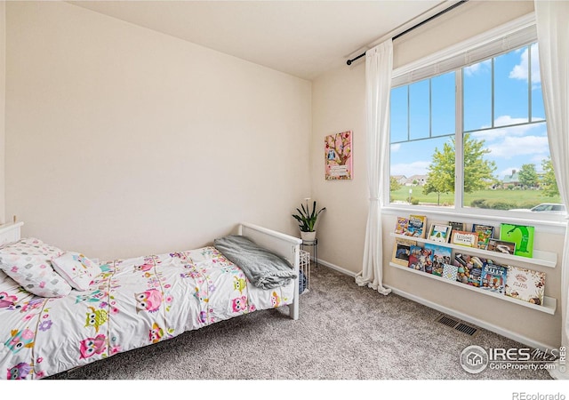 6253 Black Mesa Rd, Frederick, CO 80516 - carpeted bedroom featuring baseboards
