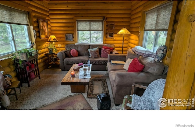 311 Chiricahua Cir, Red Feather Lakes, CO 80545 - living area featuring rustic walls and carpet