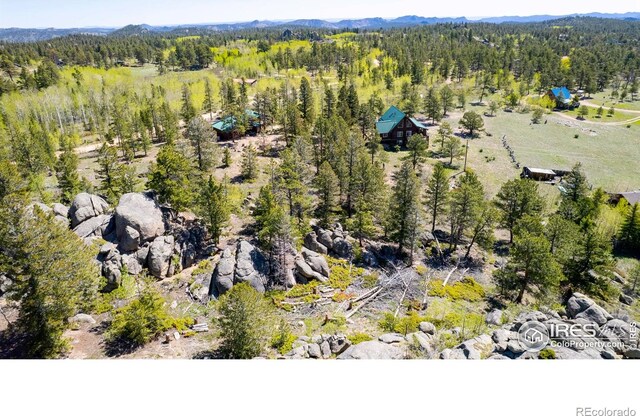 311 Chiricahua Cir, Red Feather Lakes, CO 80545 - photo 34