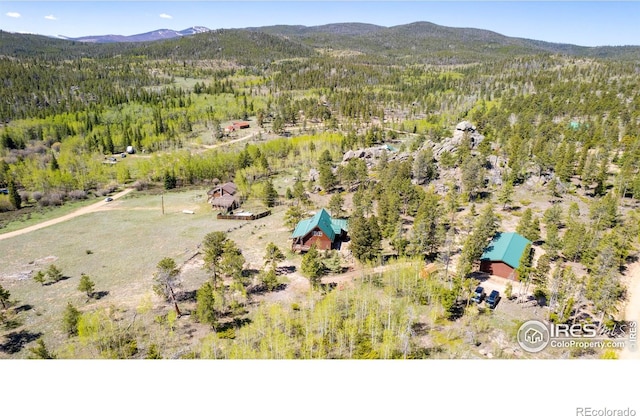 311 Chiricahua Cir, Red Feather Lakes, CO 80545 - photo 3