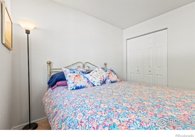 8734 19th Street Rd, Greeley, CO 80634 - bedroom featuring a closet, carpet floors, and baseboards