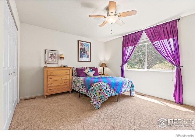 8734 19th Street Rd, Greeley, CO 80634 - bedroom featuring carpet, a ceiling fan, and a closet