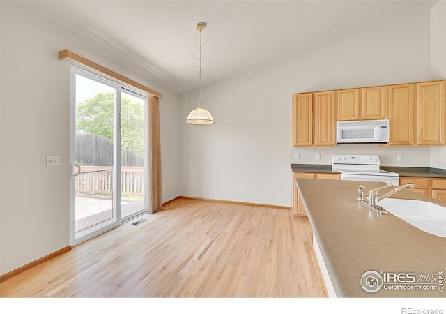 1824 Ute Creek Dr, Longmont, CO 80504 - photo 9