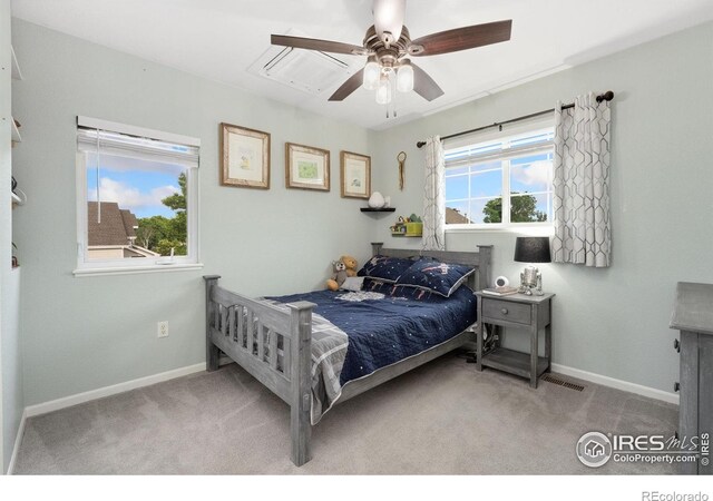 2238 Sweetwater Creek Dr, Fort Collins, CO 80528 - photo 24