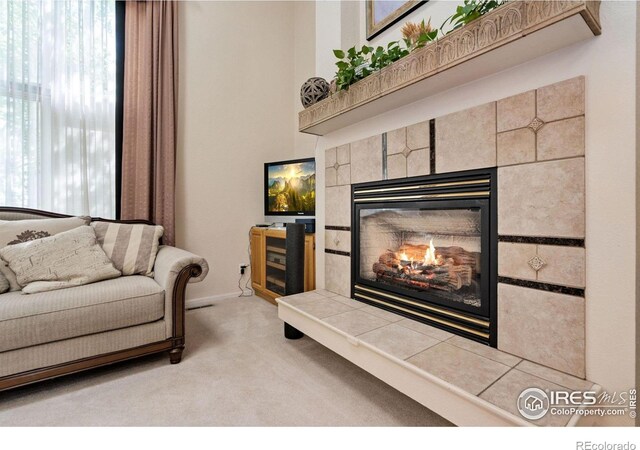6536 Southridge Greens Blvd, Fort Collins, CO 80525 - photo 8