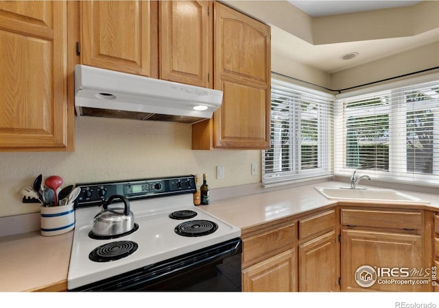 6536 Southridge Greens Blvd, Fort Collins, CO 80525 - photo 15