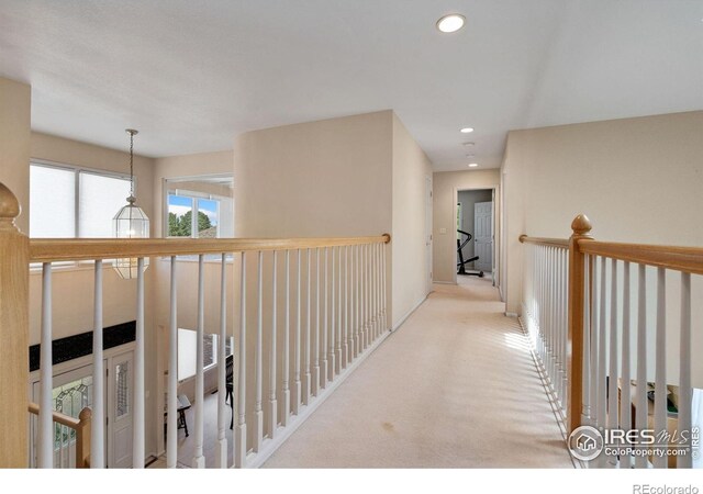 6536 Southridge Greens Blvd, Fort Collins, CO 80525 - photo 19