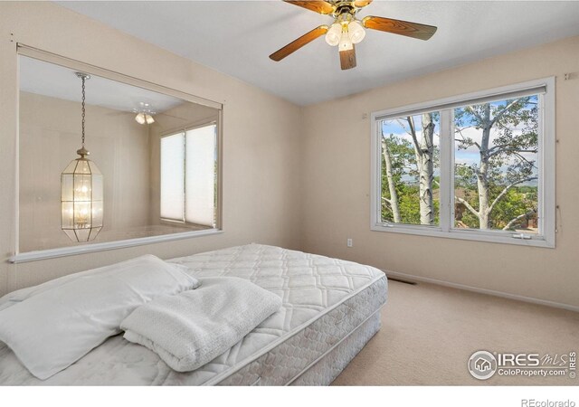 6536 Southridge Greens Blvd, Fort Collins, CO 80525 - photo 27