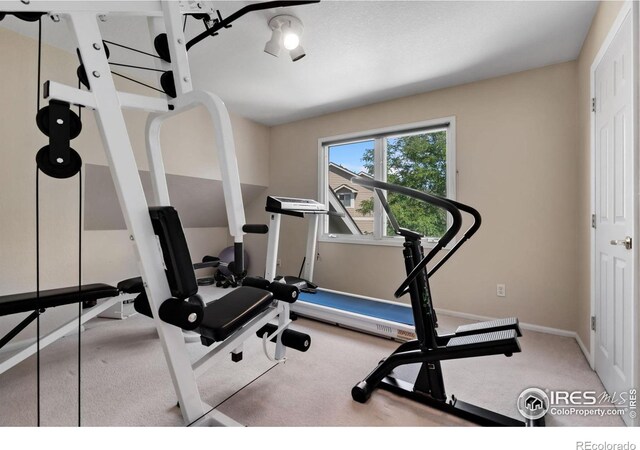 6536 Southridge Greens Blvd, Fort Collins, CO 80525 - photo 28