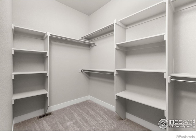 1128 N 5th St, Johnstown, CO 80534 - walk in closet with carpet floors
