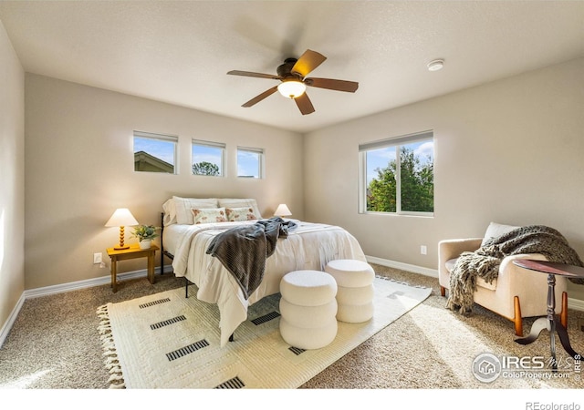 3379 Janus Dr, Loveland, CO 80537 - photo 16