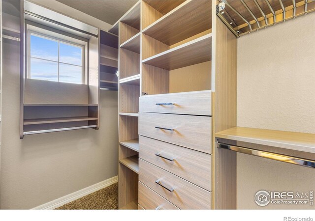 3379 Janus Dr, Loveland, CO 80537 - photo 20