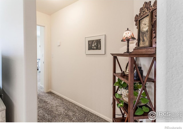 944 Maplebrook Dr, Windsor, CO 80550 - hall featuring carpet flooring and baseboards