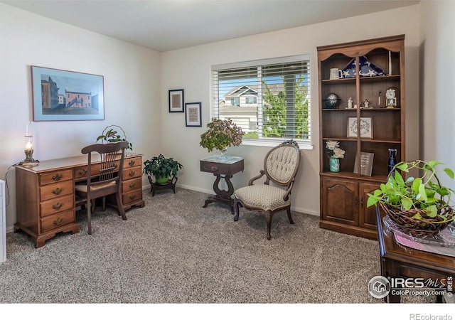944 Maplebrook Dr, Windsor, CO 80550 - home office with carpet flooring and baseboards