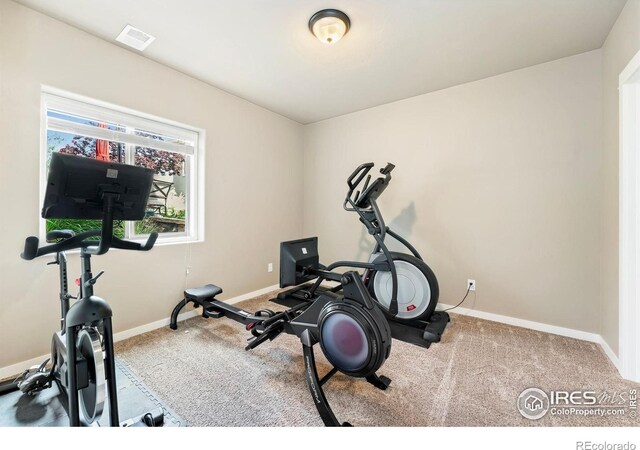 347 Meadowsweet Cir, Loveland, CO 80537 - photo 28