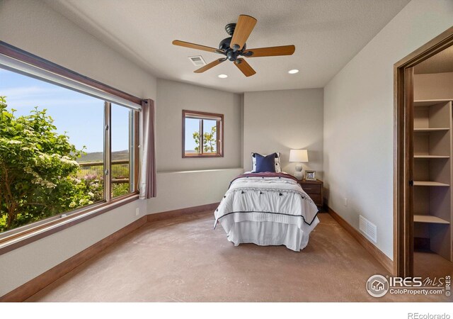 183 Red Bear Rd, Laporte, CO 80535