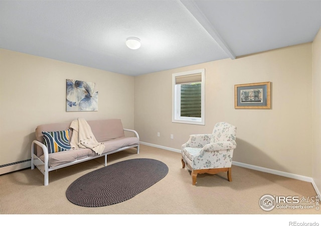 3804 Amy Pl, Loveland, CO 80538 - sitting room with carpet floors and baseboards