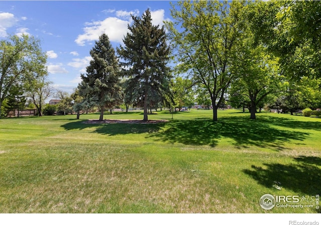 3804 Amy Pl, Loveland, CO 80538 - view of green lawn