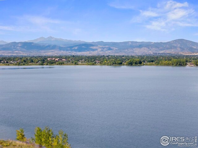 3804 Amy Pl, Loveland, CO 80538 - photo 3