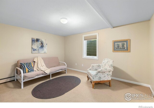 3804 Amy Pl, Loveland, CO 80538 - photo 31