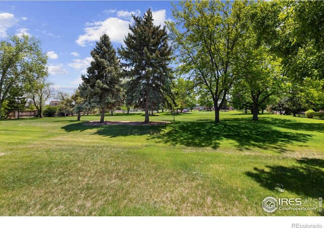 3804 Amy Pl, Loveland, CO 80538 - photo 34