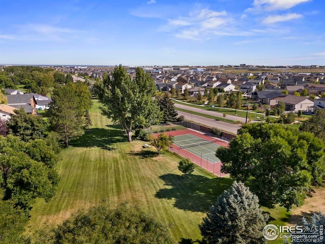 3804 Amy Pl, Loveland, CO 80538 - photo 37