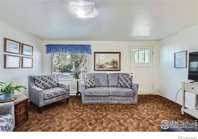 3833 Lincoln Ave, Wellington, CO 80549 - view of carpeted living room