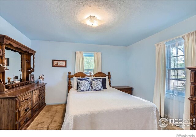 3833 Lincoln Ave, Wellington, CO 80549 - bedroom with light carpet and a textured ceiling