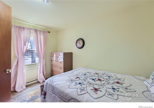 3833 Lincoln Ave, Wellington, CO 80549 - bedroom featuring a baseboard heating unit