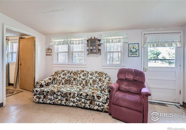 3833 Lincoln Ave, Wellington, CO 80549 - living room with plenty of natural light and vaulted ceiling