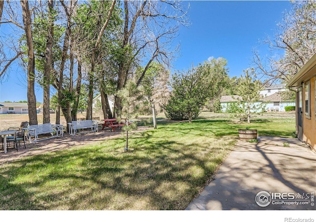 3833 Lincoln Ave, Wellington, CO 80549 - view of green lawn with a patio