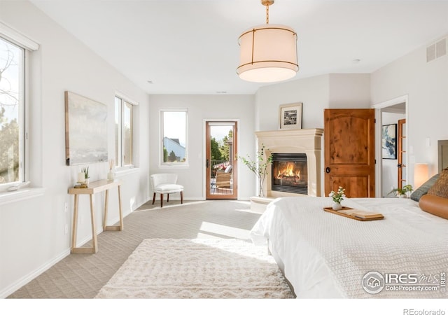 609 Corona Ct, Lafayette, CO 80026 - bedroom featuring light carpet, access to exterior, multiple windows, and a glass covered fireplace