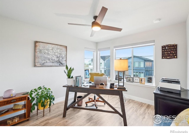6211 Stable View St, Castle Pines, CO 80108 - office featuring a ceiling fan, light wood-type flooring, and baseboards