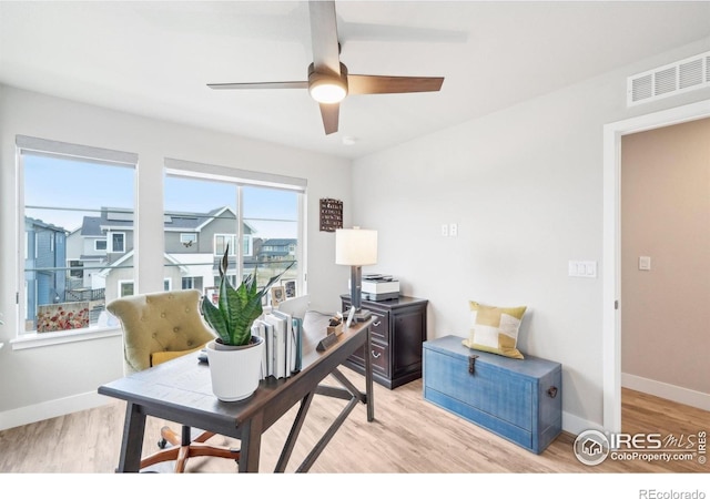 6211 Stable View St, Castle Pines, CO 80108 - office space featuring baseboards, ceiling fan, and light wood-style floors