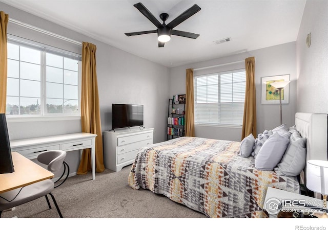 4451 S Ammons St Unit 307, Littleton, CO 80123 - carpeted bedroom with multiple windows and ceiling fan