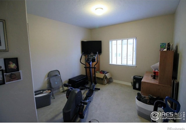 3106 Megan Way, Berthoud, CO 80513 - exercise area featuring carpet and baseboards