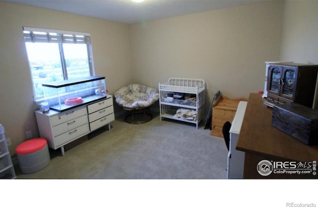 3106 Megan Way, Berthoud, CO 80513 - bedroom with carpet flooring