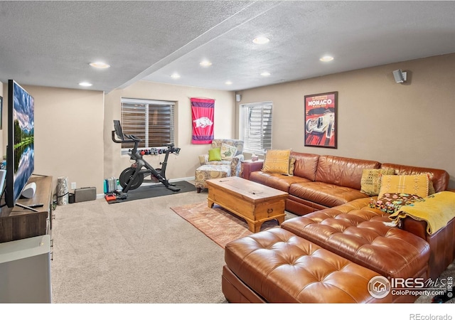 23570 E Holly Hills Way, Parker, CO 80138 - carpeted living room featuring recessed lighting, a textured ceiling, and baseboards