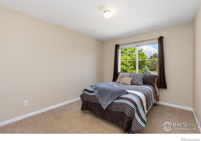 10970 E 150th Pl, Brighton, CO 80602