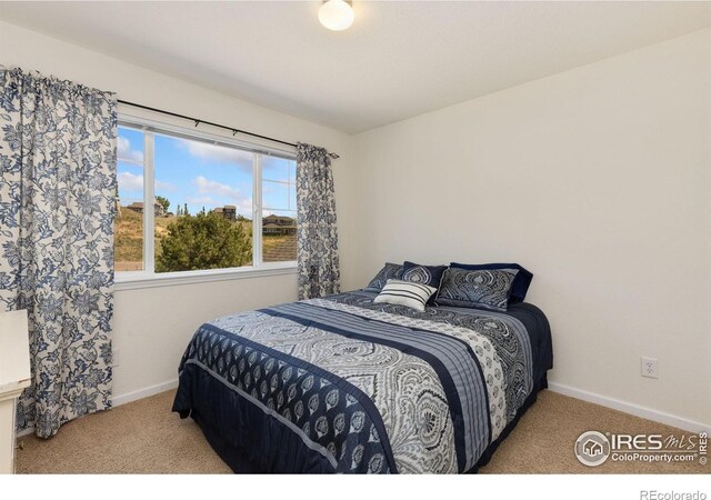 10970 E 150th Pl, Brighton, CO 80602